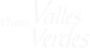 logo-sticky-mobile-valles_verdes